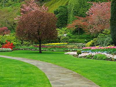 Landscape Maintenance Long Island, NY